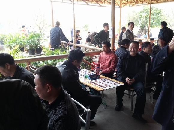 图片点击可在新窗口打开查看