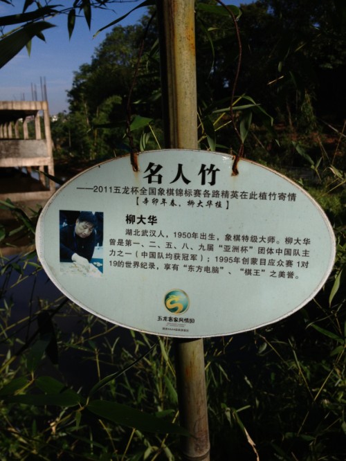 图片点击可在新窗口打开查看