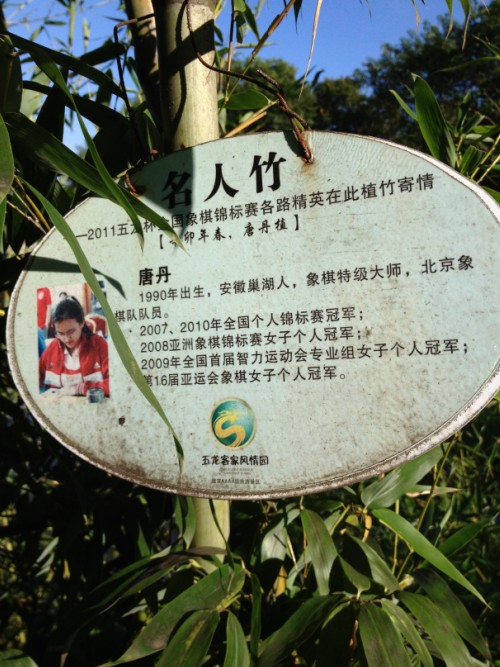 图片点击可在新窗口打开查看