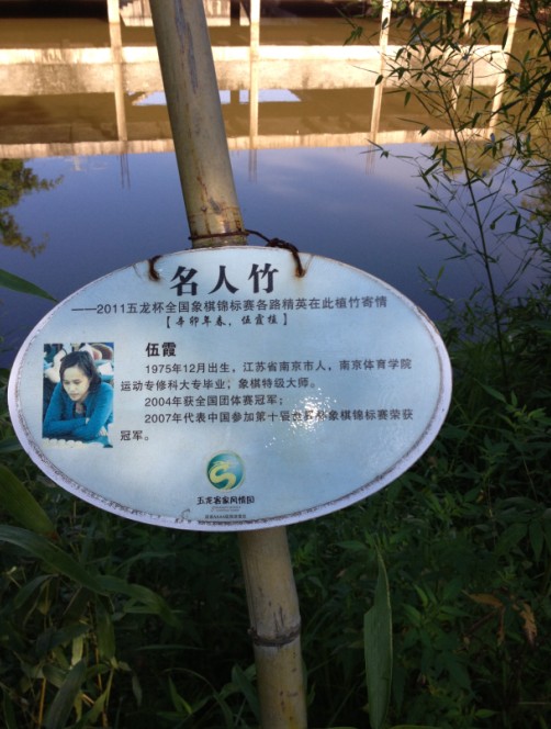 图片点击可在新窗口打开查看