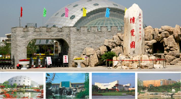 图片点击可在新窗口打开查看