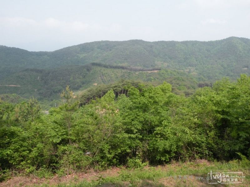 喝徐福故里养生酒、探访徐福足迹、寻找传说中