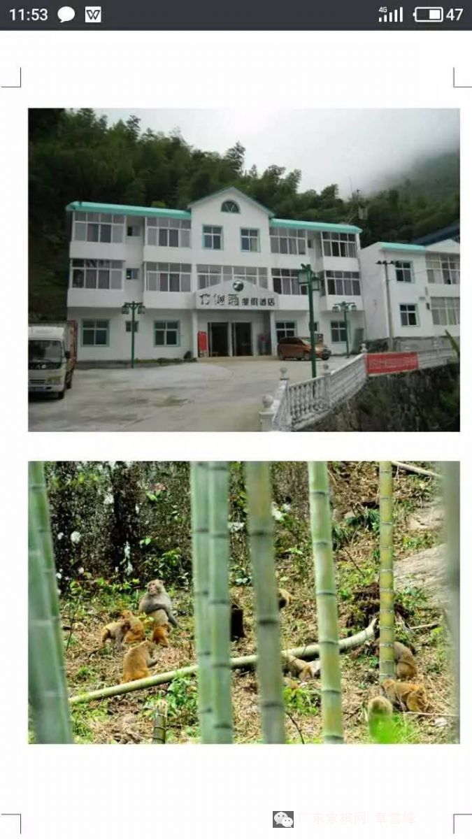 图片点击可在新窗口打开查看