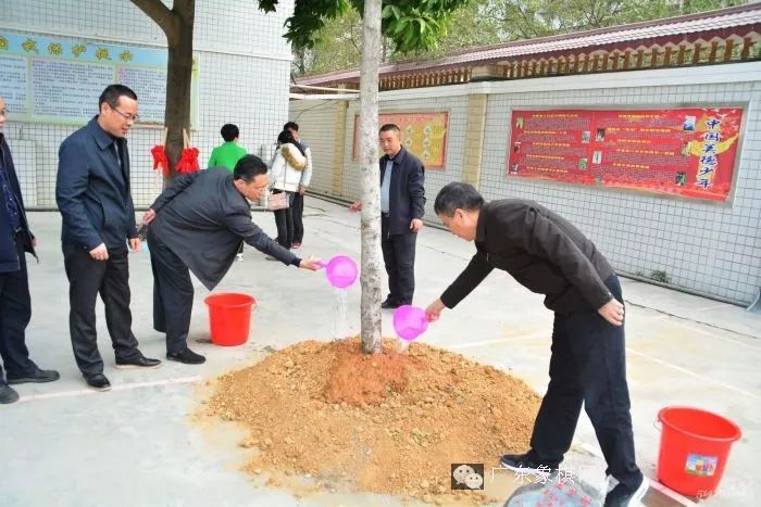 图片点击可在新窗口打开查看