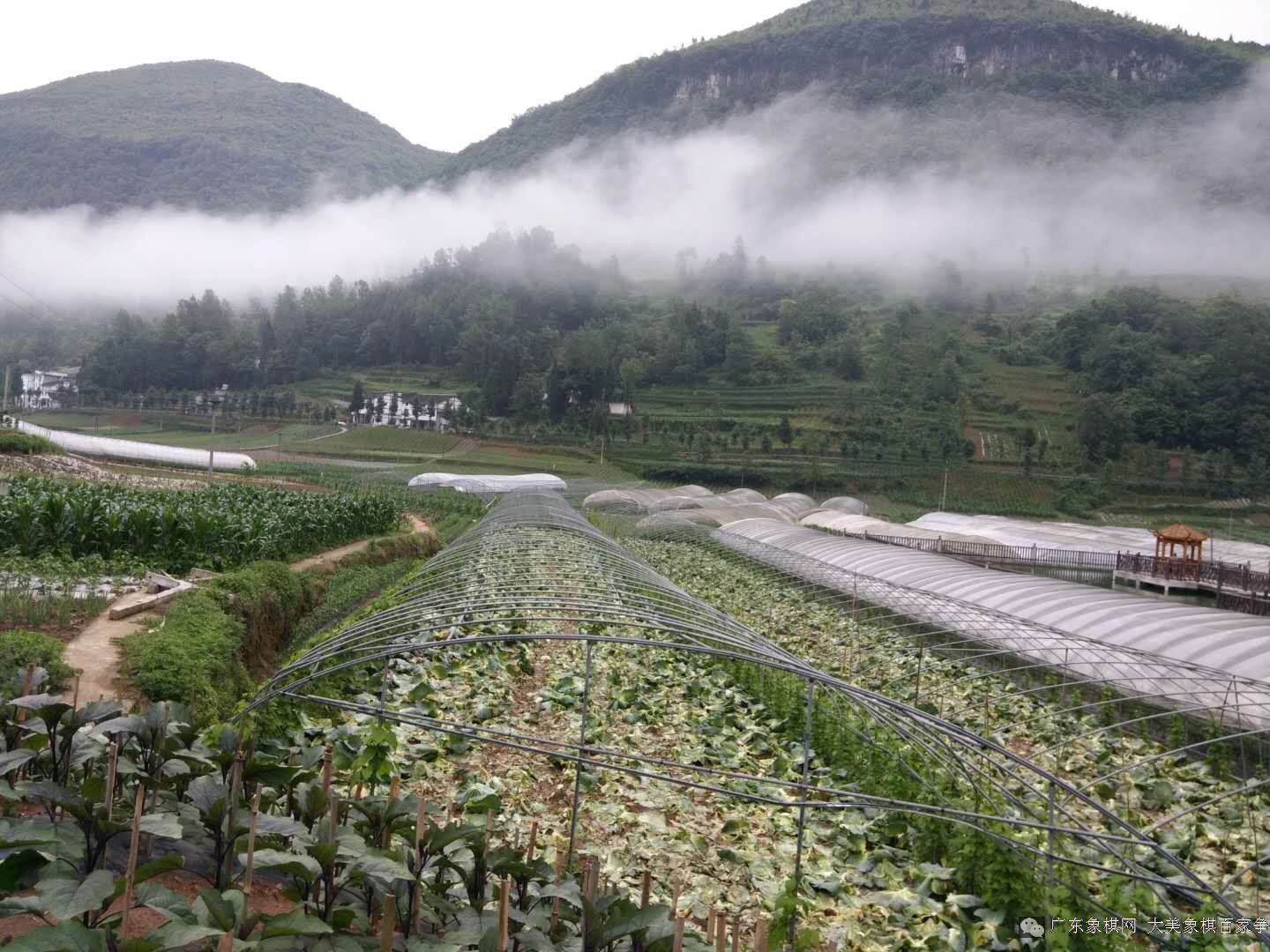 图片点击可在新窗口打开查看