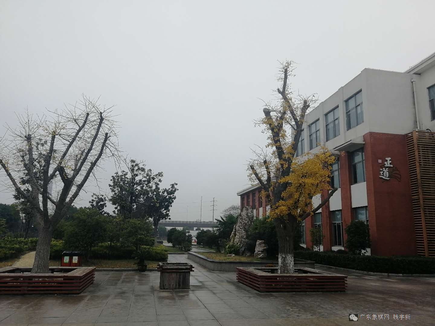 图片点击可在新窗口打开查看