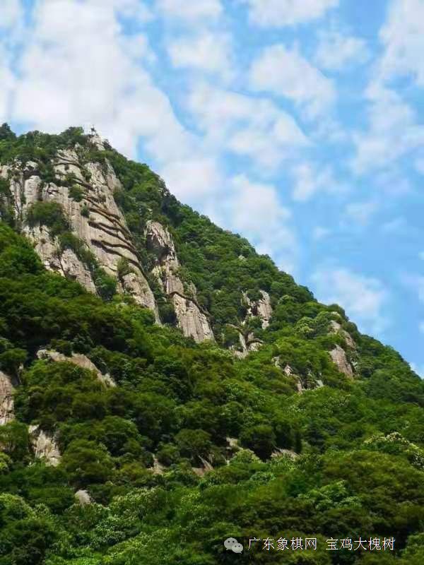 图片点击可在新窗口打开查看