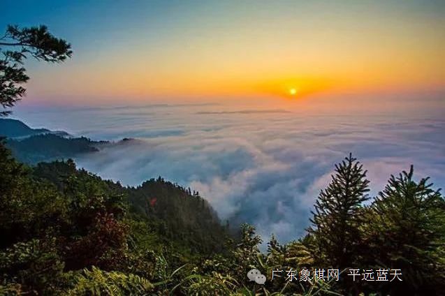 图片点击可在新窗口打开查看