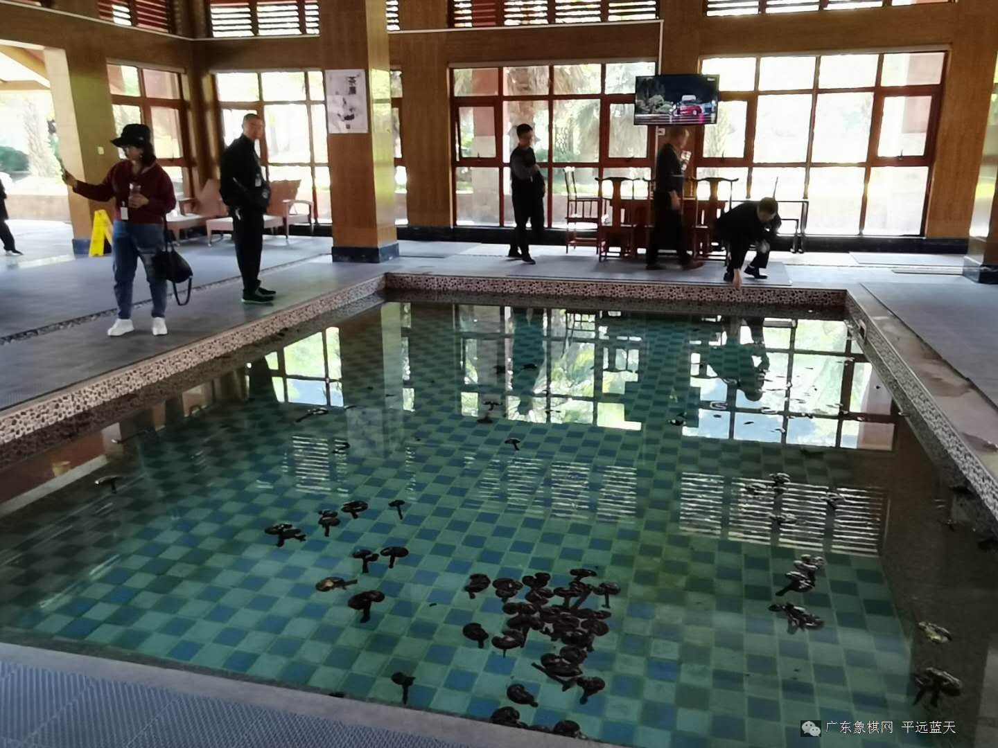 图片点击可在新窗口打开查看